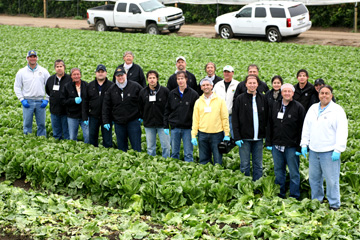 Markon Operator Summit attendees enjoying a romaine field tour.