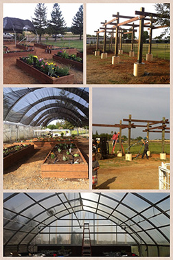 The CALP group helped create these greenhouses and planter boxes for an under-served school in Sacramento