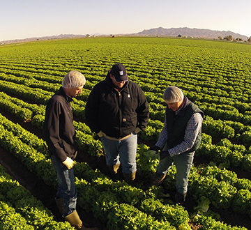 John Galvez with his co-inspectors Blake Anderson and Matt Collins in Yuma, Arizona