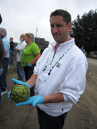 Peter Grannis on a Markon tour of artichoke fields