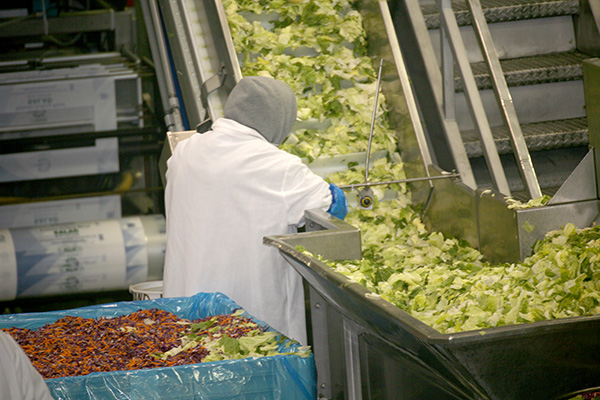 Value-added salads are pre-washed, cut, and mixed to save operators time and money on labor