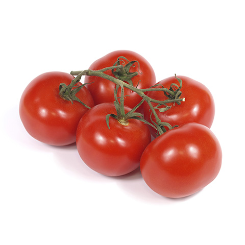 Tomatoes | MARKON