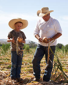 Joe Paul Lack, Rio Valley Onions, Owner/Farmer