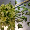 Decay in 7 day Chopped Romaine