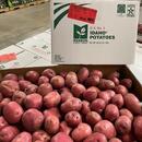 MFC Idaho Red Potatoes