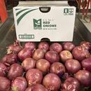 MFC Red Onions
