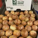 MFC Yellow Onions