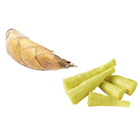 Bamboo Shoots