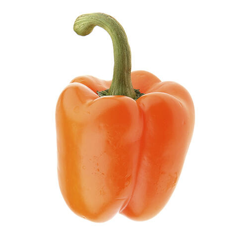 Orange Bell Peppers