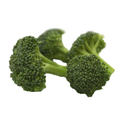 Bite-Sized Broccoli Florets