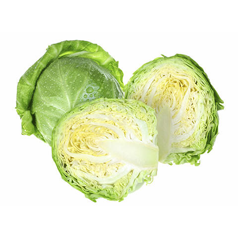 Cabbage