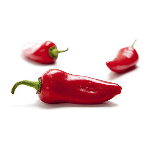 Fresno Chile Peppers