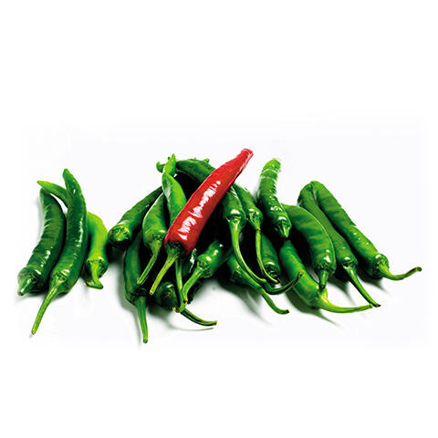 Thai Chile Peppers