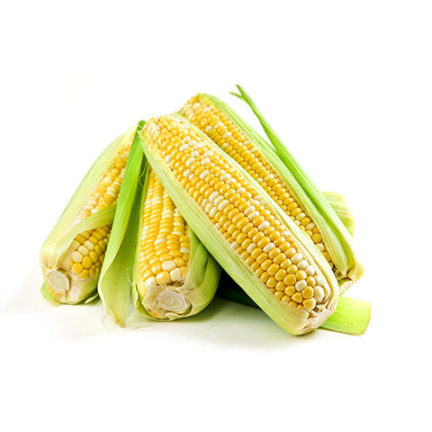 Corn