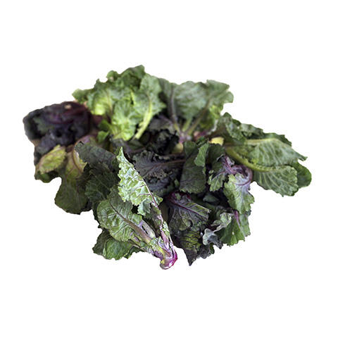 Kalettes