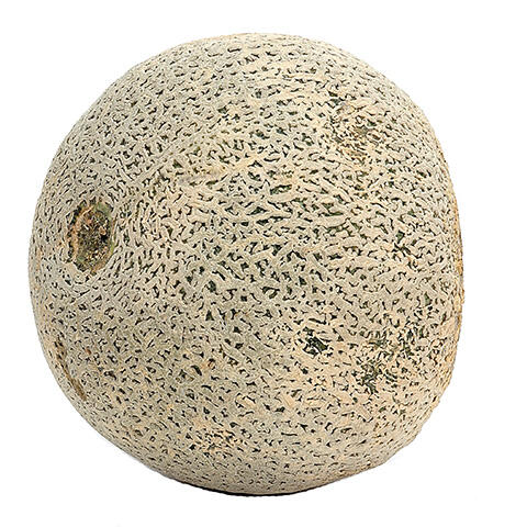 Persian Melons