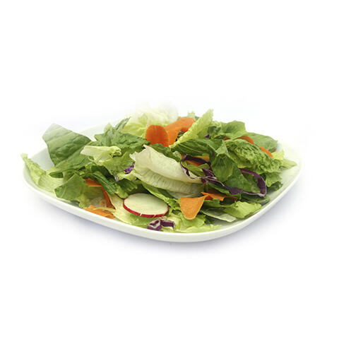 Swissmar Salad Dressing Shaker-Green or White – Lincoln Park Emporium
