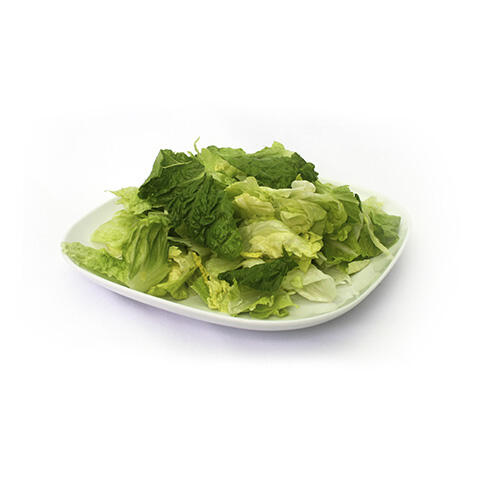 https://resources.markon.com/sites/default/files/styles/large/public/pi_photos/Salad_Romaine-Iceberg_50-50_Hero.jpg
