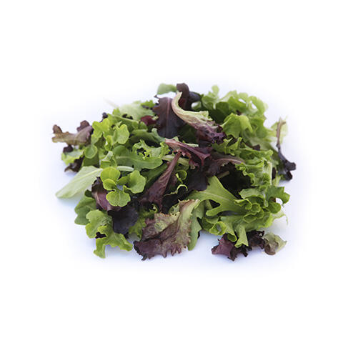 Spring Mix Lettuce Information  Learn About Spring Mix Lettuce