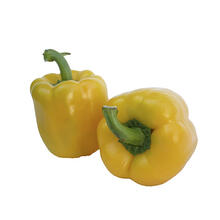 Gold Bell Peppers