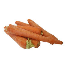 Jumbo Carrots