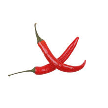 Cayenne Chile Peppers