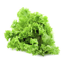 Premium Green Leaf Lettuce