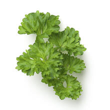 Ready-Set-Serve Bunched Parsley