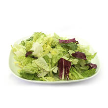 Insalata Blend Salad