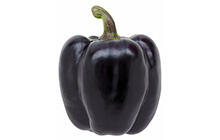 Purple Bell Peppers