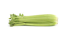 Markon First Crop Celery Stalks