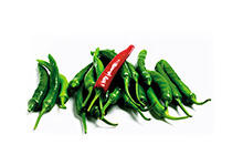 Thai Chile Peppers