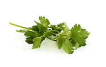 Ready-Set-Serve Washed and Trimmed Cilantro