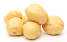 Number Two Yukon Gold Potatoes
