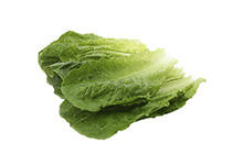 Washed & Trimmed Romaine