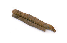 Salsify Root
