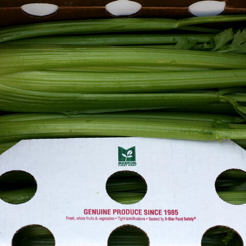 First 40-pound Celery Pack