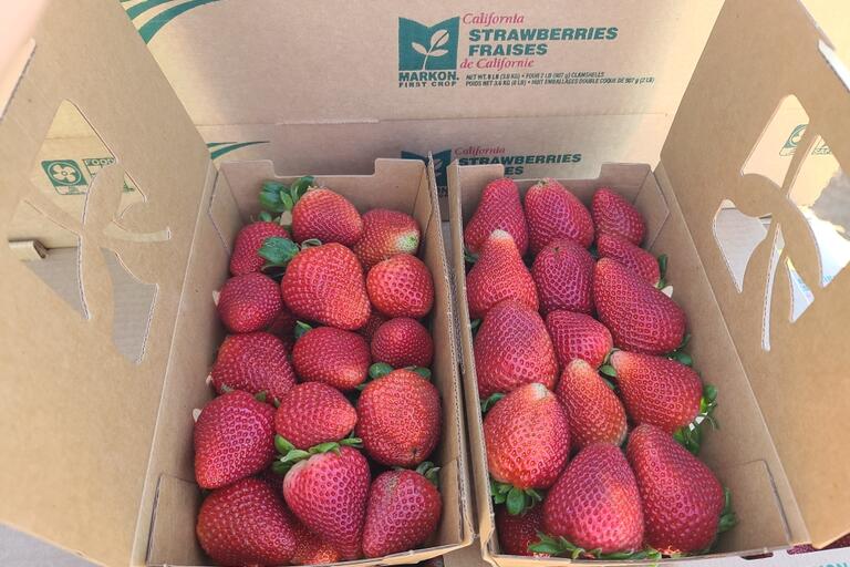 Strawberries