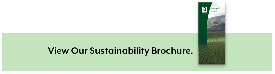 View our sustainability brochure
