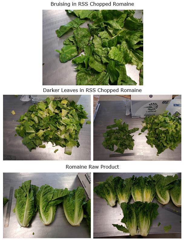 2019-07-12 - RSS Chopped Romaine.JPG