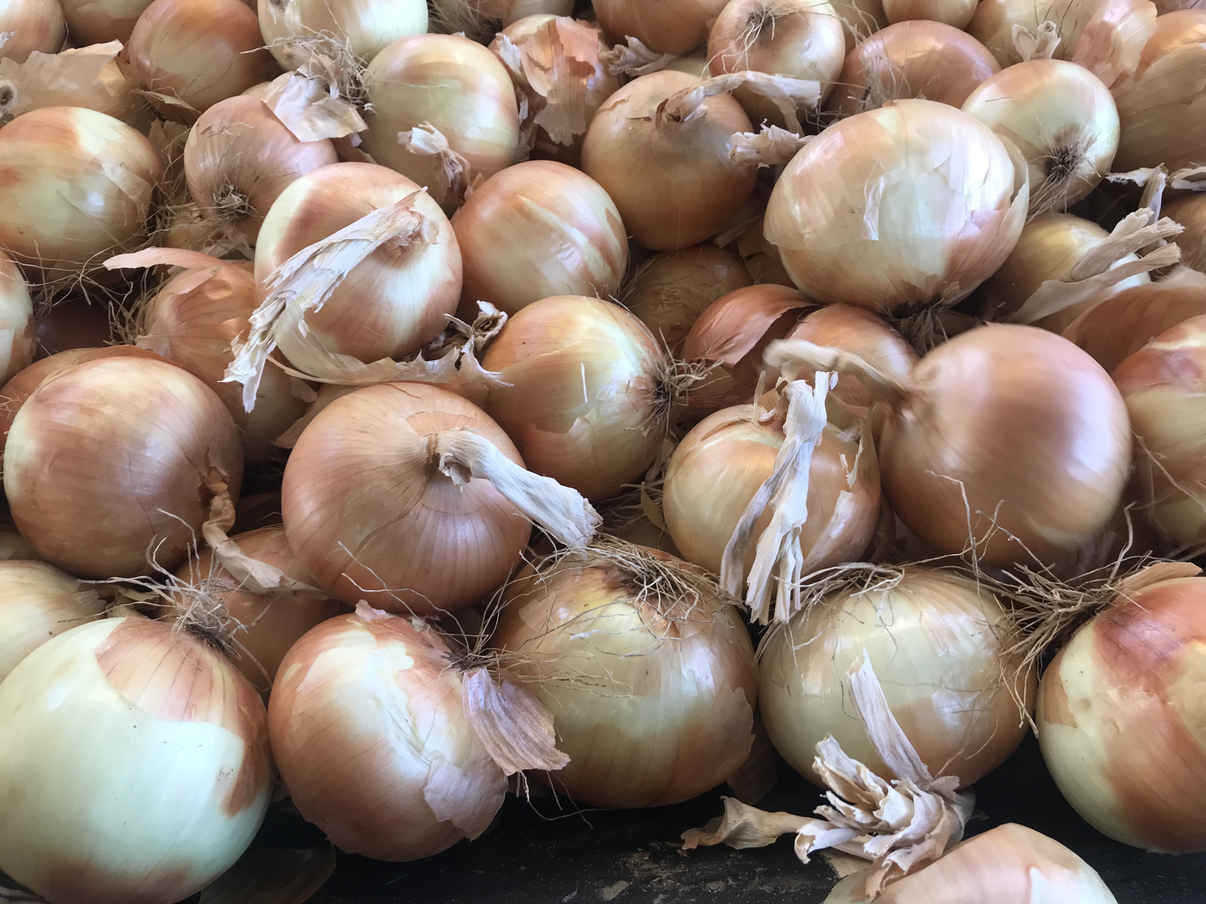 Fresh Run Onions.jpeg