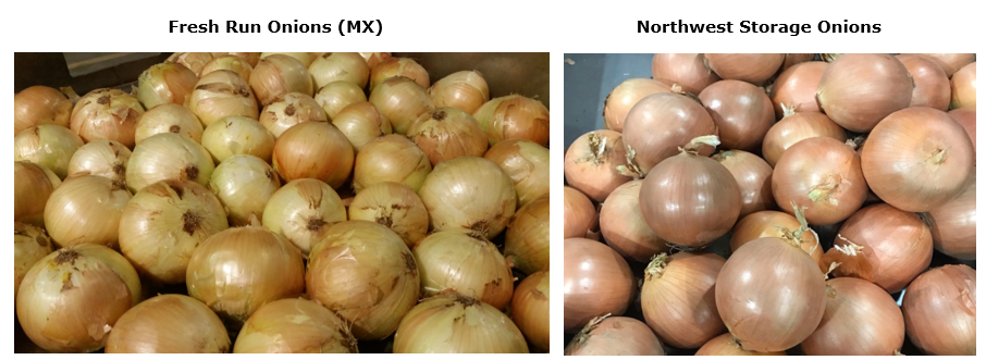 Onions.PNG