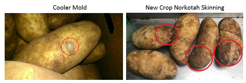 Update Idaho Potatoes 8-24-18.PNG