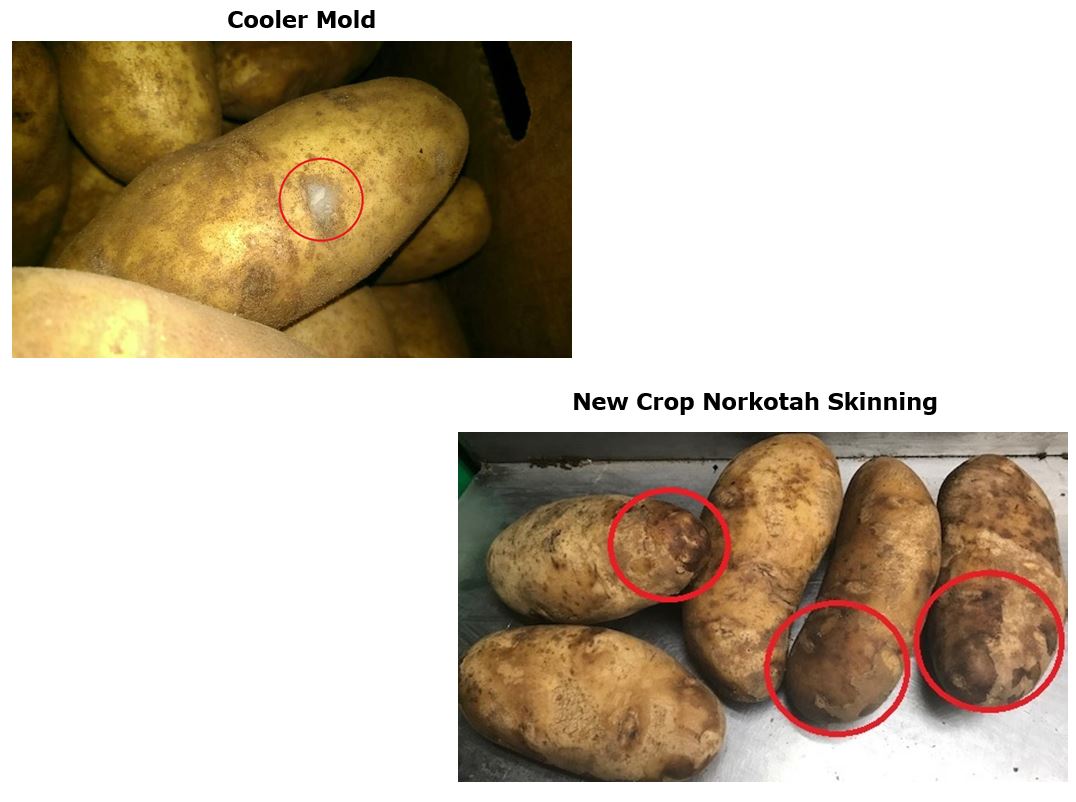 Update Idaho Potatoes 9-25-18.JPG