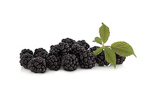 Blackberries