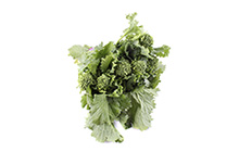 Broccoli Raab