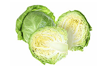 Cabbage