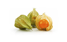 Cape Gooseberries