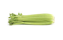 Celery