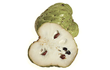 Cherimoyas